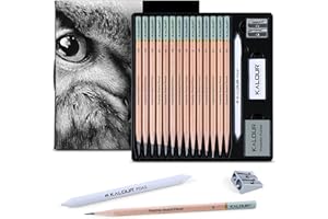 KALOUR 18-Piece Professional Sketch Pencil Set - Includes 5H to 14B Pencils, Vinyl Eraser, Kneaded Eraser,Sharpener and Paper Blending Stump - Ideal for Artists and Beginners