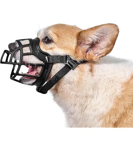 8-Quart Digital Air Fryer