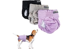 Crea BEST - Pannolini per Cane femmina Lavabili.Mutande assorbenti per cani e Animali domestici, Lavabili in Lavatrice. 3 PEZZI- (M)