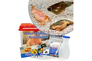 AQ4Aquaristik Triops Natur-Erlebnis-Set Urzeitkrebse mit 2,5 l Becken, Zubehör, Aktivboden, Futter und Anleitung für Schule, Kindergarten oder Zuhause