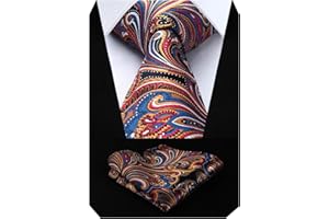 HISDERN Cravatte uomo Paisley Floreale Cravatta Fazzoletto Set Matrimonio Cravatte da uomo & Pocket Square