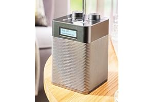 NEWTRO Tragbares DAB-Radio Vertikal - 2.200mAh Akku-Power für DAB/FM/BT- & USB-Wiedergabe inkl. Ladekabel und ausziehbarer Teleskopantenne