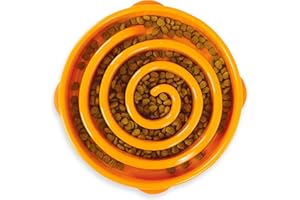 Outward Hound Fun Feeder Slo Bowl - Anti Gulping Bowl for Dogs