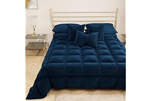 PETTI Artigiani Italiani - Trapunta in Morbido e Caldo Velluto 350 g/m², Piumone Matrimoniale, Double Face, Trapunta Matrimoniale: 260x270 cm, Blu, 100% Made in Italy