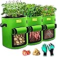 LESDOI Kartoffel Pflanzsack, 7 Gallonen Kartoffeln Pflanzen Tasche Tomaten Pflanztopf,Kartoffelsack Pflanzbeutel Grow Bag Pflanzsäcke für Kartoffeln, Blumen, Pflanzen, Gemüs (Grün)