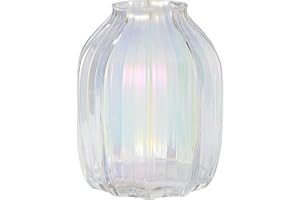 JAKY-GLOBAL Large Colored Modern Glass Vase Irised Crystal Clear Glass Vase 21cm for Decorative Home Office Centerpieces Flowers Décor(Colored 21cm)