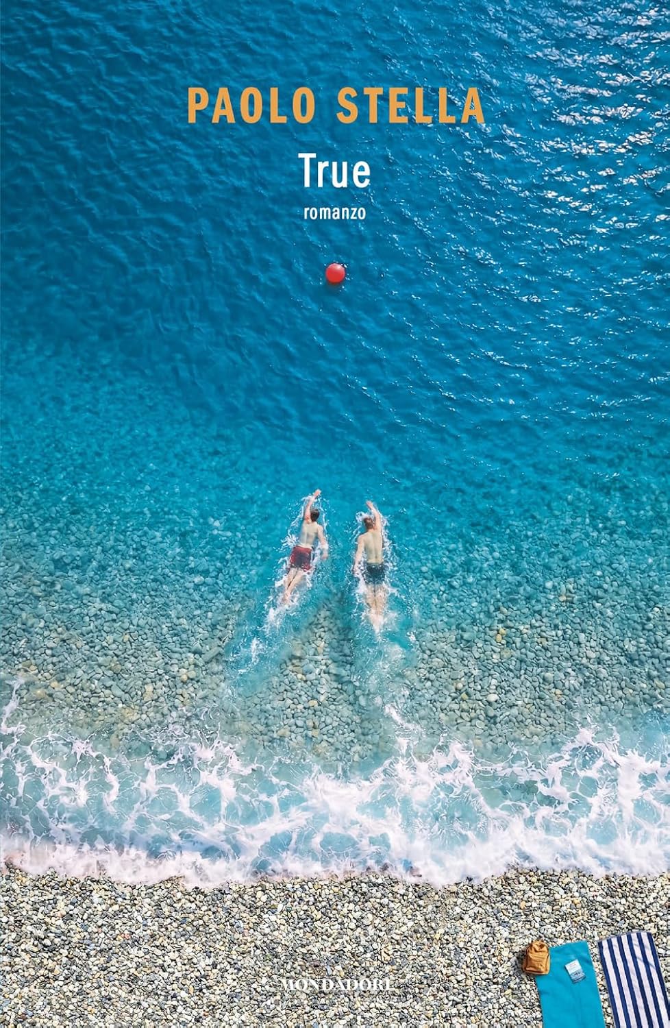 Vue 7