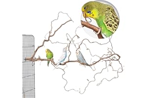 Vogelgaleria® Toller Korkenzieherhasel mit vielen Sitzstangen für Wellensittiche & andere Vögel zur Käfig Montage