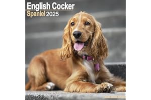 English Cocker Spaniel 2025 Square Wall Calendar | Dog Breed Calendar