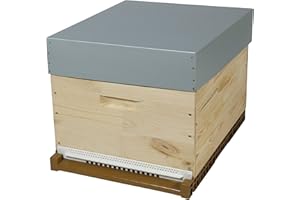 Côté Ruche Ruche Dadant Pribois Découverte, Abeille, 10 Cadres, Bois, Plastique, Sécurité, Idéale pour Apiculteurs, Fabriquée en France, Belle, Résistante, Isolante, Livrée Sans Cadres