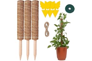 HEPODA 3 Pezzi Sostegno Monstera 40cm Supporto per Piante Bastone per Piante Rampicanti Tutore Monstera Bastone Muschiato per Piante Totem Palo di Cocco Interno Giardino