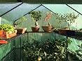TecTake Invernadero de jardín vivero casero Plantas Cultivos ...