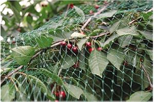 Malla antipájaros Nortene 4 x 12 m