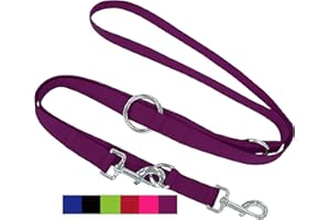 DEY - Premium Nylon Dog Lead 2 m | 3-Way Adjustable | for Small, Medium and Large Dogs | Many Colours | Double Lead for Dog/Cat/Puppy | Recall Lead | Lead Lead | Puppy Lead | Purple, XS