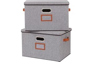 OUTBROS Lot de 2 Caisses de Rangement, Paniers Pliables avec Couvercle et Poignées, Boîte en Tissu Lavable, pour Vêtement, Magazine pour Maison (Gris, 45 x 30 x 30 cm)
