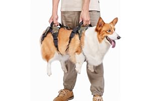 Coodeo Uprząż do podnoszenia psa, podparcie całego ciała, kamizelka rehabilitacyjna dla zwierząt domowych, nosidełko dla starszych psów z urazami stawów, zapaleniem stawów, paraliżem schodów (rozmiar