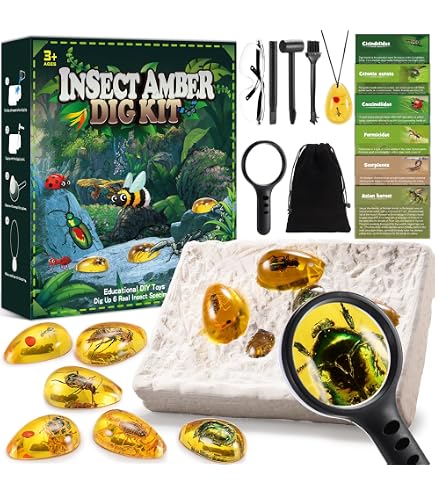 Kit Fouille Ambre Et Fossiles EDUMAN Pour Enfants 6+ | Découverte 6 Insectes Dans L'Ambre - Jouet Éducatif Archéologie