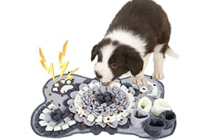 Zevmi Interaktives SchnüFfelteppich und Intelligenzspielzeug füR Hunde: Stressabbau füR Hunde - SchnüFfelmatte Hund, Futtermatte füR Haustiere