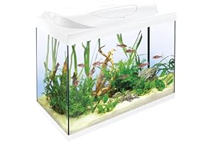 Tetra Starter Line 80 L Aquarium Weiß, Komplett-Set - inkl. Tag- & Nachtlicht LED-Beleuchtung, Innenfilter, Heizer, Fischfutter und Wasseraufbereiter