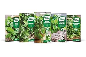 Eurogarden - Pack Semillas Aromáticas Culinarias. Surtido de 5 variedades de semillas para plantar en tu huerto. Perejil, cilantro, menta, albahaca y cebollino.