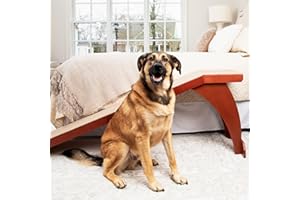 PetSafe Solvit Bettrampe, erreicht die meisten Betten, unterstützt bis zu 54 kg Haustiere, Hunde- und Katzenzugang für Schlafzimmer, rutschfeste Teppich-Traktion, Kirschrot