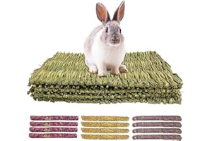 HTRTRR Lot de 4 tapis d'herbe de lapin tissés à la main, jouets à mâcher naturels comestibles, tapis à mâcher en tissu naturel, pour petits animaux, bâtons d'argile pour lapins, cochons d'Inde,