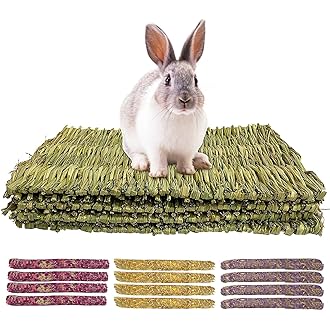 Tappetini Erba Per Conigli HTRTRR - 4 Pezzi Intrecciati A Mano, Con Bastoncini Di Timo, Per Piccoli Animali - Foto 13