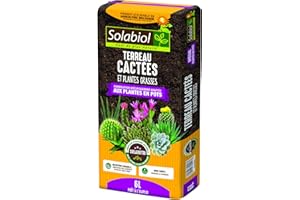 SOLABIOL TERCAC6 Terreau Cactées et Plantes Grasses 6L | Croissance Vigoureuse | Utilisable en Agriculture Biologique, 6 liters L, Marron, 21 x 50 x 5 cm
