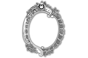 Sizzix 3-D Impresslits Embossing Folder 665016 Floral Frame by Tim Holtz One Size, Multicolour