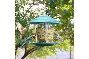Raopuzi Nouveau 2023 Mangeoire à Oiseaux Exterieur Mangeoire Oiseaux Suspendue Grande Capacité Distributeur Graines Oiseaux Maison Oiseaux Exterieur pour Jardin Balcon (Vert)