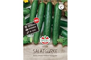 Sperli Salatgurkensamen Gergana 80828 für 35 Pflanzen – Ertragreiche Gurkensamen für Gewächshaus & Freiland, Kübelgeeignet, Bitterfrei, Aromatisch, Bis 35 cm lang, Gemüsesamen