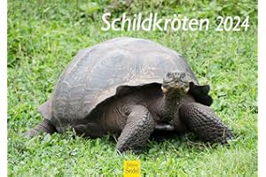 ‎EDITION SEIDEL Edition Seidel Premium Kalender Schildkröten 2024 Format DIN A3 Wandkalender Tierkalender Weltweit Schildkröte Kriechtiere Reptilien Wildtiere