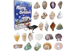Aitsite Kalendarz adwentowy 2023, muszle, 24 dni, naturalne muszle, kolekcja muszli, kalendarz odliczający dla chłopców i dziewczynek, wielokolorowy