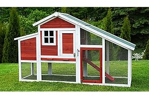 Miweba my animal Poulailler MH-32 XXL avec pondoir - Bois de pin - Résistant à l'hiver - Enclos à Deux Niveaux - Nichoir - Maison pour Poules - Volière pour Poules - Cage à Poules