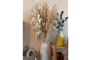 TSHÙ Natural Dried Large Pampas Grass, 47 inches/120 cm tall 6 stems, Extra Large and Fluffy, ideal for minimalism, rustic, boho Home Decor and Weddings, Parties | Natural Bunch (Beige & Gold)
