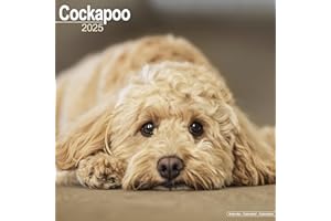 Cockapoo 2025 Square Wall Calendar | Dog Breed Calendar