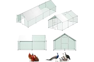 LZQ hönshus för utomhusbruk, utomhusinhägnad, hönshus med tak, fjäderfähus, galvaniserad stålram med PE 3 x 6 x 2 m