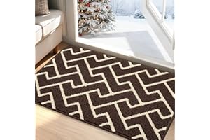 Biscpro Paillasson Intérieur Tapis 60x90cm Entrée Intérieur Extérieur Imperméable,Antidérapant,Absorbant,Tapis pour Entrée,Lavable,Cuisine,Salle de Bain-Dark Brown