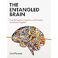 The Entangled Brain: How Perception, Cognition, and Emotion Are Woven Together