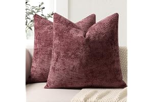 ZWJD Kuddfodral 45 x 45 set med 2 Chenille kuddfodral, soffkuddfodral, dekorativa kuddar, mjuka soffkuddfodral för soffa, sän
