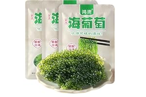 JOIYSVEN Sea Grapes (100 g * 3 Packungen) – grüner Kaviar, Beilagen, Instant-Gemüsegurken, Hot Pot-Zutaten Algen-Seetrauben zum Essen von köstlichem Kimchi Meerestrauben als Algen Snack