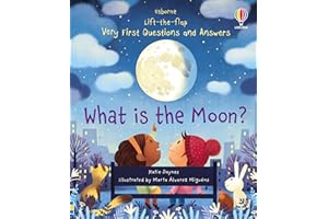What is the Moon? (Very First Lift-the-Flap Questions & Answers): 1 (Very First Questions and Answers)