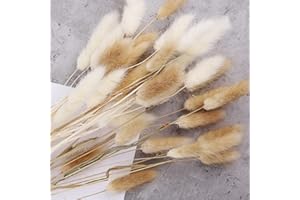 HILEYU 50 Stück 45cm Getrocknete Pampasgras Deko Pampasgras Getrocknet Lagurus Trockenblumen Strauß Dried Flowers, Blumendekoration, für Blumen Arrangements Heim Decor (25Pcs White+25Pcs Natural)