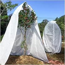Set Di 2 Coperture Riutilizzabili Per Piante In Tessuto Antigelo Per L Inverno Protezione Dal Gelo Con Coulisse 60 X 100 Cm 98993554