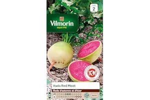 Vilmorin - Sachet graines Radis Red Meat