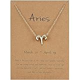 Young & Forever 18K Gold Plated 12 Zodiac Sign Constellation Letter Pendant Necklace for Women Girls, 18" Birthday Gift: 