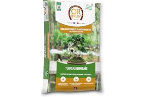 Or Brun Terreau Bonsaïs - 6L - Meilleur Enracinement - Utilisable en Agriculture Biologique OBRTBON6U