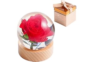‎1ST HEAVEN 1st Heaven Rose in Harzkugel, Rosen Dekor, Echte Rosen Briefbeschwerer in Geschenkkarton - Einzigartige Dekoration für Zuhause und Büro, Ideal für Geburtstag, Hochzeit und Valentinstag