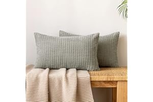 EMEMA Kordsamt Kissenbezug Granulat Dekorative Sofakissen Dekokissen Kissenbezüge Couchkissen Kissenhülle Weich Kissen Bezug Zierkissen für Sofa Couch Wohnzimmer 2er Set 40x60 cm Hellgrau