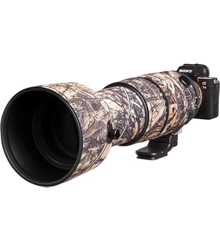 Canon R6 II Camera and Canon RF 70-200mm F2.8L IS USM Lens
